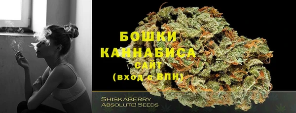 индика Богданович